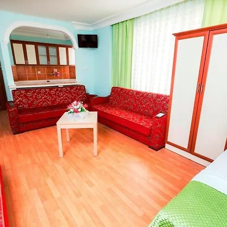 Nehir Hotel 3*